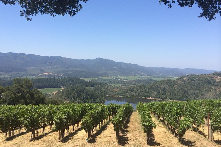 8-Hours Private Limo(up to 8 pass.) Wine Tour of Napa Valley from San Francisco - Image 2