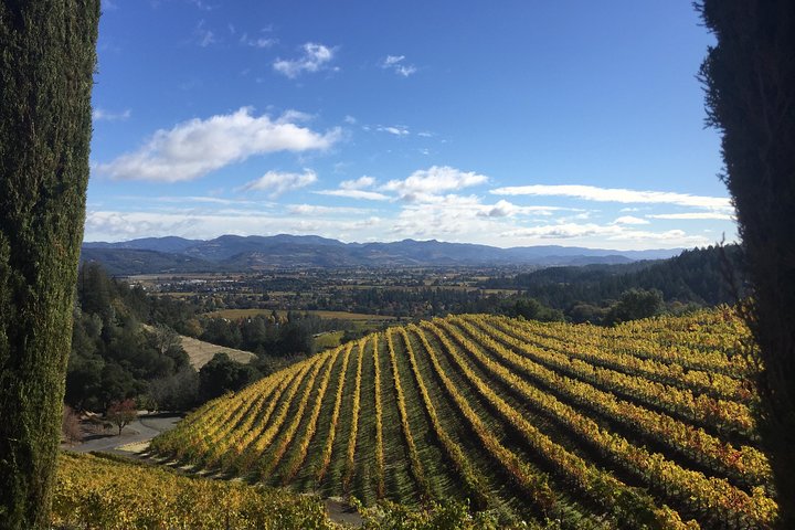 8-Hours Private Limo(up to 8 pass.) Wine Tour of Napa Valley from San Francisco - Image 4