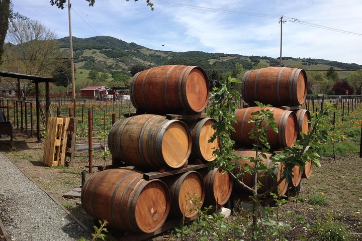 8-Hours Private SUV (up to 6 Passengers) San Francisco to Napa Valley Wine Tour - Image 4