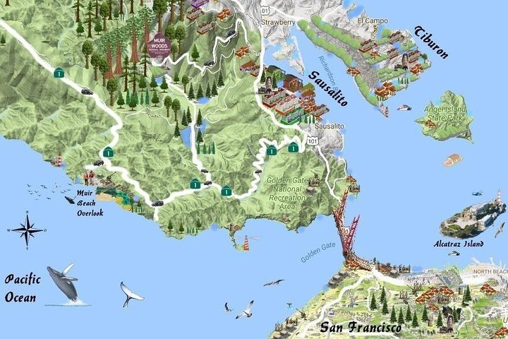 Best San Francisco, Muir Woods & Sausalito Private Combo Tour - Image 1