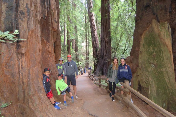Best San Francisco, Muir Woods & Sausalito Private Combo Tour - Image 3
