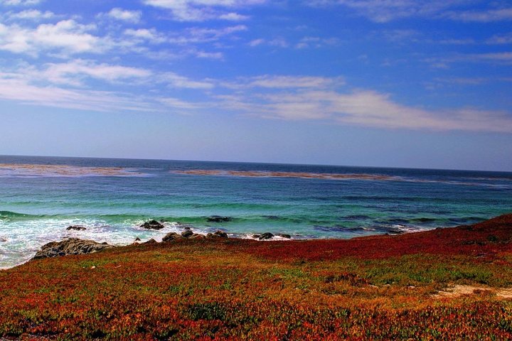 Carmel / Monterey Hwy 1 tour  - Image 2