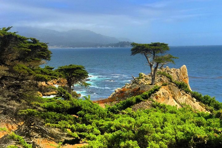 Carmel / Monterey Hwy 1 tour  - Image 1
