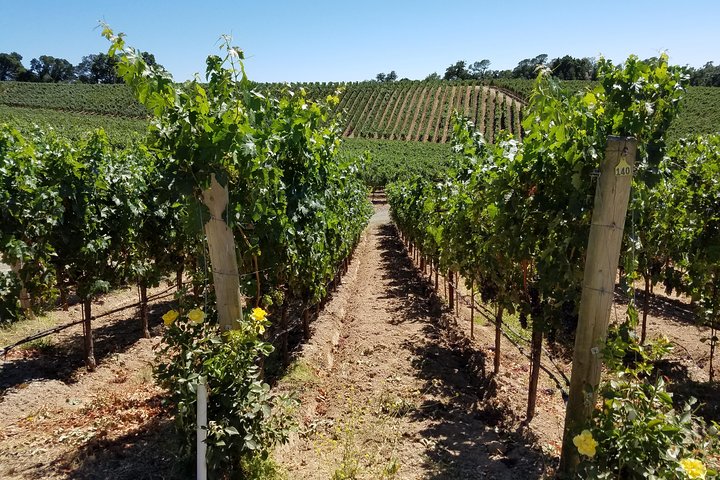 Custom 8-Hour Napa Valley Wine Tour in a Luxury Vehicle - Image 2