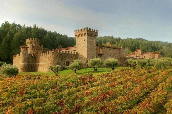 Custom Beer and Wine Tour of Sonoma and Napa from San Francisco - Image 3