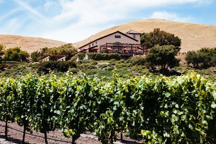 Custom Beer and Wine Tour of Sonoma and Napa from San Francisco - Image 5