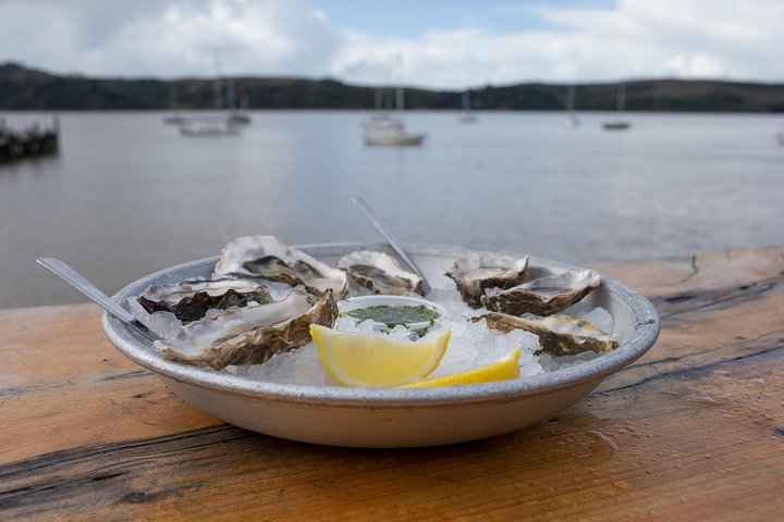 Customized, Private Sonoma Coast Food Wine Tour Cheese, Honey, Oysters Tasting - Image 1