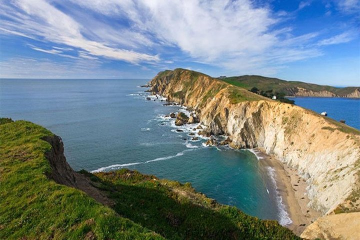 Discover Point Reyes National Seashore and Giant Redwoods - Image 1