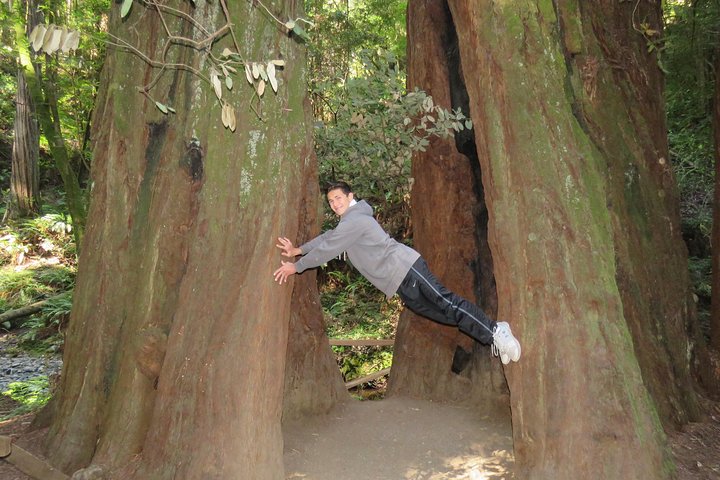 Discover Point Reyes National Seashore and Giant Redwoods - Image 3