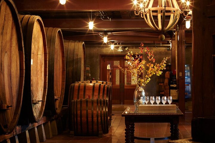 Explore Napa Valley Wine Tour from San Francisco by Private Minivan - Image 4