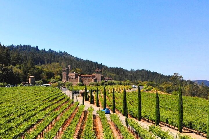Full Day Private Napa Valley Wine Experience - Image 1