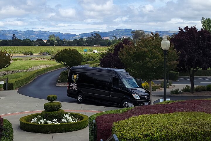 Mercedes-Benz Sprinter Wine Tasting Experience (chlid seat avil.) - Image 3