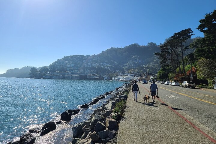 Muir Wood, Sausalito and Cavallo Point Tour - Image 2