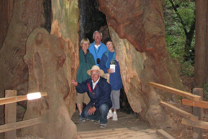 Muir Woods and California Wine Country 8 Hour Private Tour  - Image 5