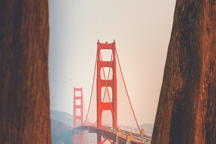 Muir Woods and Sausalito Private Tour - Image 3