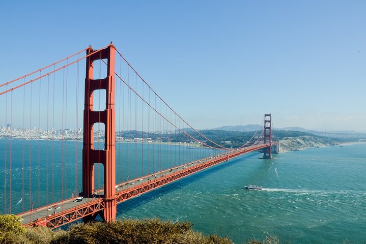 Muir Woods and Sausalito Private Tour - Image 4