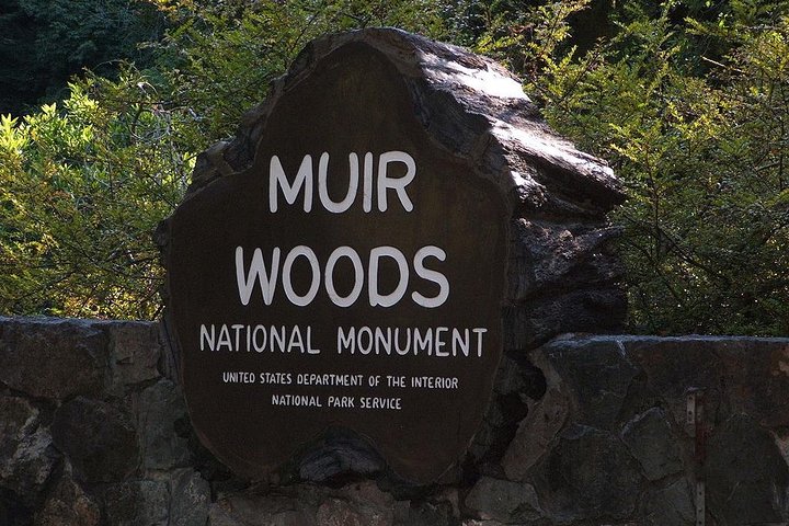 Muir Woods, Sausalito and Tiburon Day Trip from San Francisco - Image 1