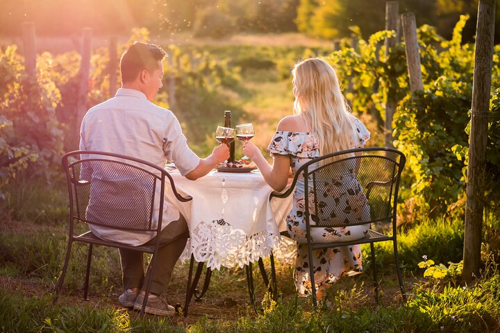 Napa or Sonoma Private Wine Tour from San Francisco - Image 5