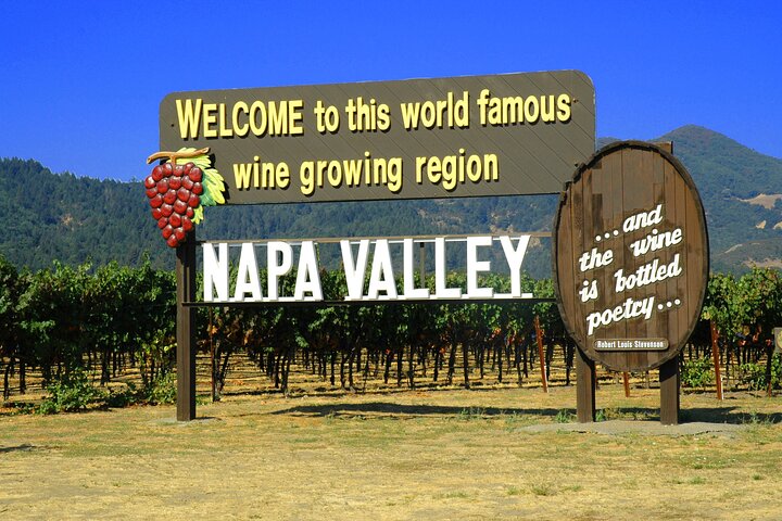 Napa or Sonoma Private Wine Tour from San Francisco - Image 1