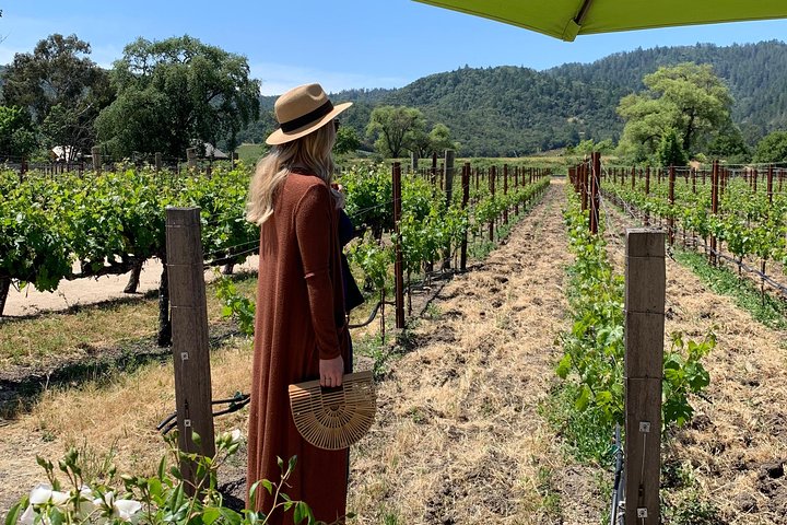 Napa Valley Wine Tour Planning and Transportation SUV up to 6 People - Image 3
