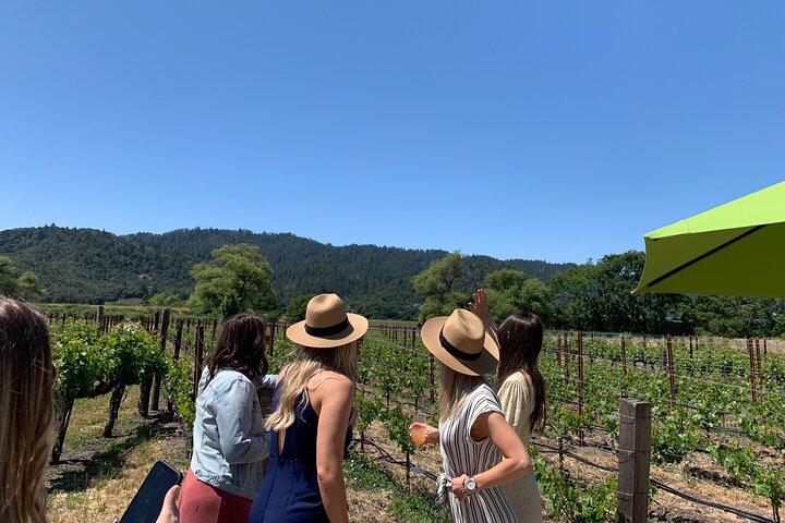 Napa Wine Tour SUV up to 6 Guests - Image 1