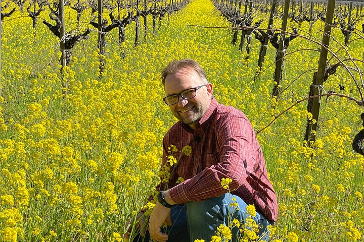 Napa Wine Tour SUV up to 6 Guests - Image 3