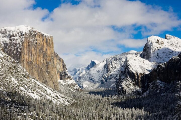 Private Full Day Yosemite National Park Tour from San Francisco - Image 5