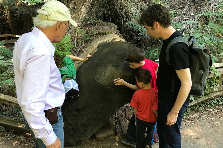 Private Muir Woods and Sausalito Half Day Tour - Image 2