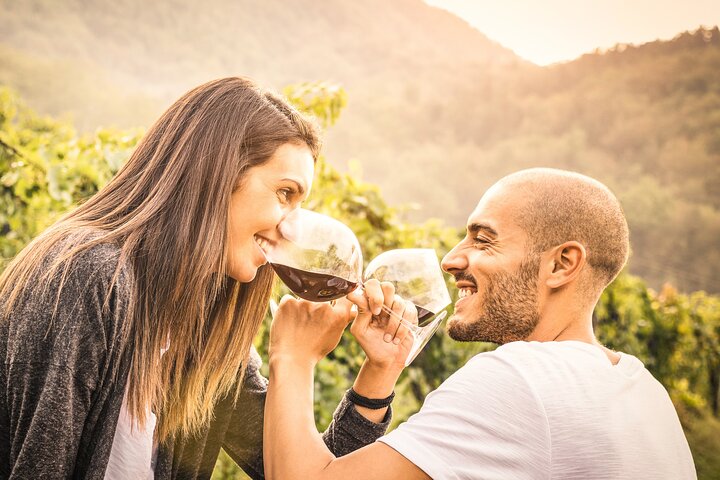 Private Napa and Sonoma Wine Tour from San Francisco - Image 1