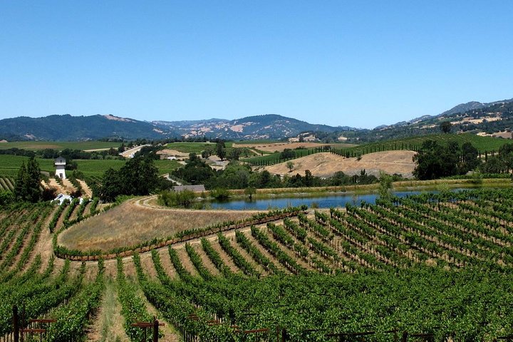 Private Napa Sonoma Wine Tour & Custom Concierge - Image 3