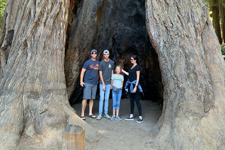 Private Redwood Forest & Silicon Valley Day Trip from San Francisco - Image 2