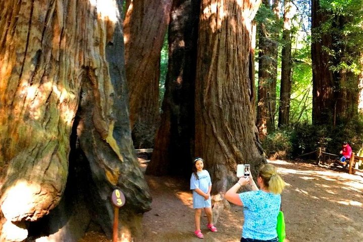 Private Redwood Forest & Silicon Valley Day Trip from San Francisco - Image 5