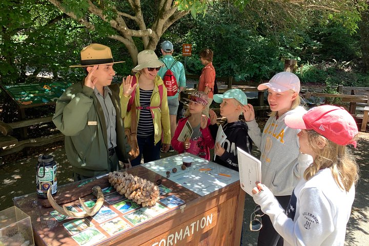 Private Tour Muir Woods and Sausalito - Image 4