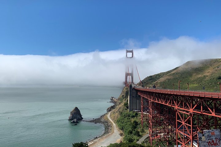 Private Tour Muir Woods and Sausalito - Image 3