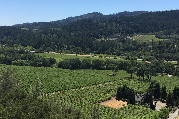 Private Wine Tour of Napa and Sonoma - Image 3