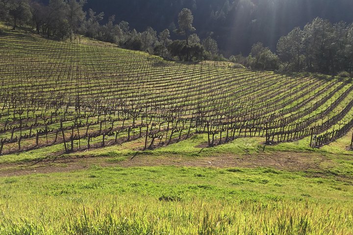 Private Wine Tour of Napa and Sonoma - Image 1