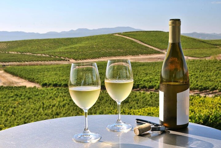 Shore Excursion in SFO - Enchanted Napa & Sonoma Wine Tour in SUV - Image 3