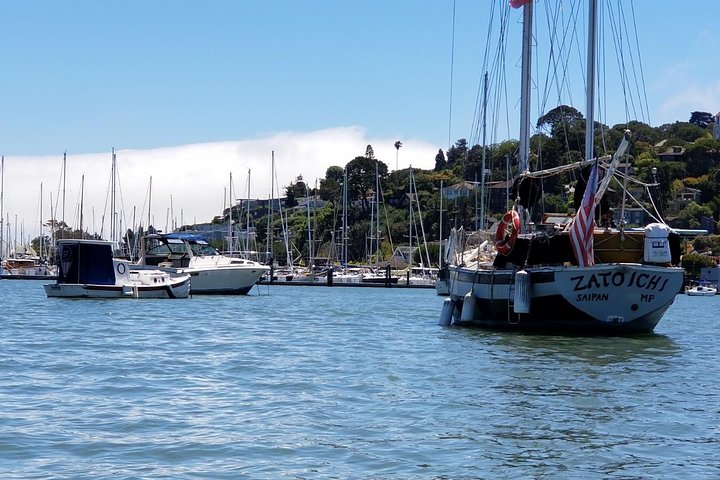 Small Group Half Day Muir Woods and Sausalito Afternoon Tour - Image 5
