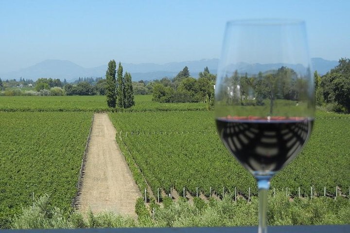 Small-Group Vintage Wine Country Tour to Sonoma and Napa - Image 1