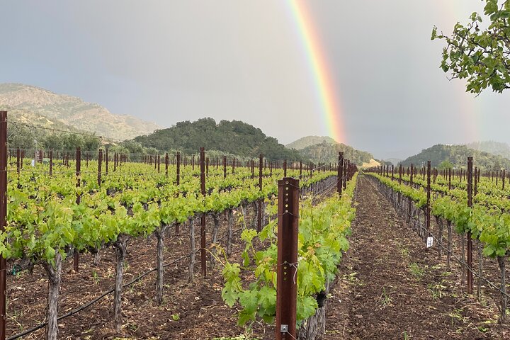 Sprinter Wine Tour for up to 14 people - Image 4