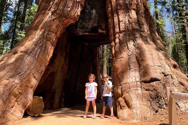 Yosemite Full-Day Private Tour from San Francisco - Image 4