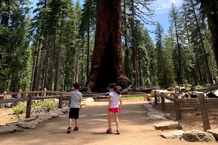Yosemite Full-Day Private Tour from San Francisco - Image 3