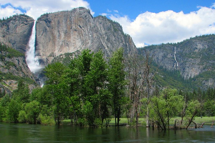 Yosemite Private 2-Day Tour Package+Hotel:Waterfalls,Giant Sequoias+Glacier Pt - Image 1