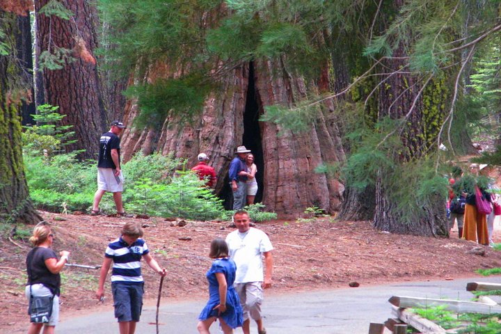 Yosemite Private 2-Day Tour Package+Hotel:Waterfalls,Giant Sequoias+Glacier Pt - Image 5
