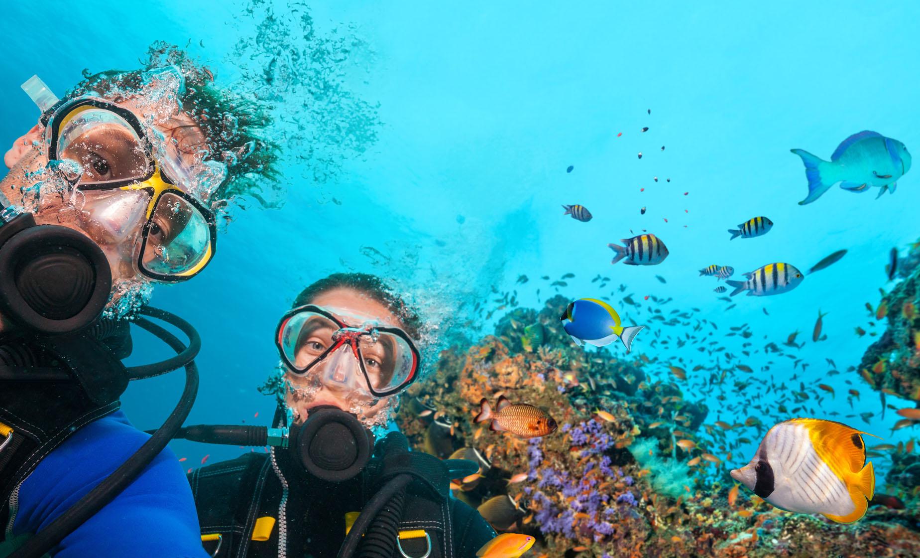 Discover Scuba - Image 1