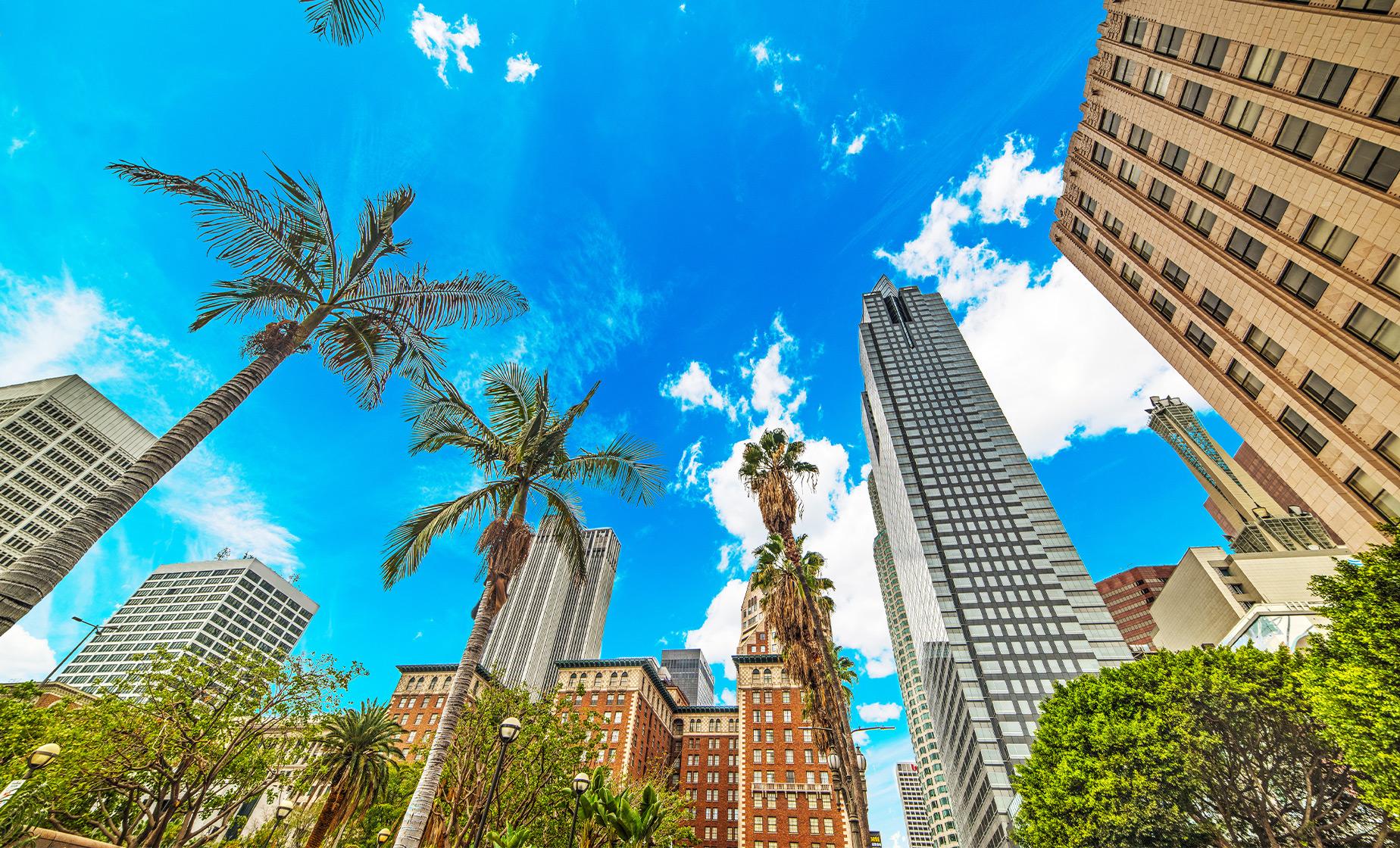 Amazing Mini Los Angeles Scavenger Hunt - Image 1