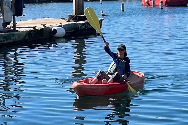 Kayak Rental in Redondo Beach, USA - Image 4