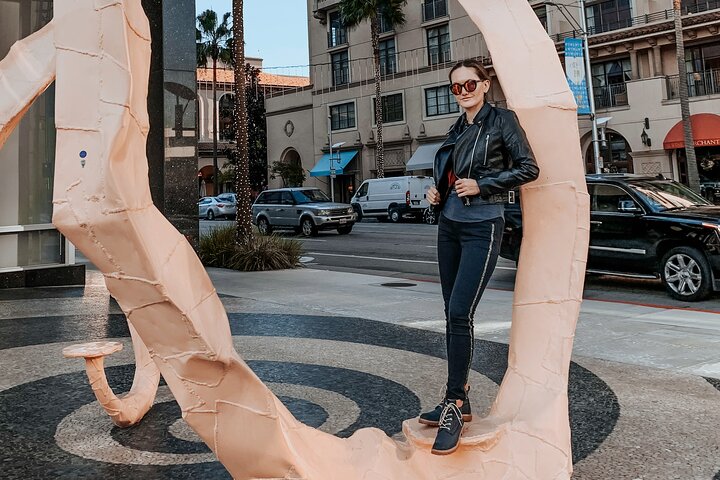 Private Layover Los Angeles Tour with Pickup from LAX - Santa Monica, Venice - Image 3