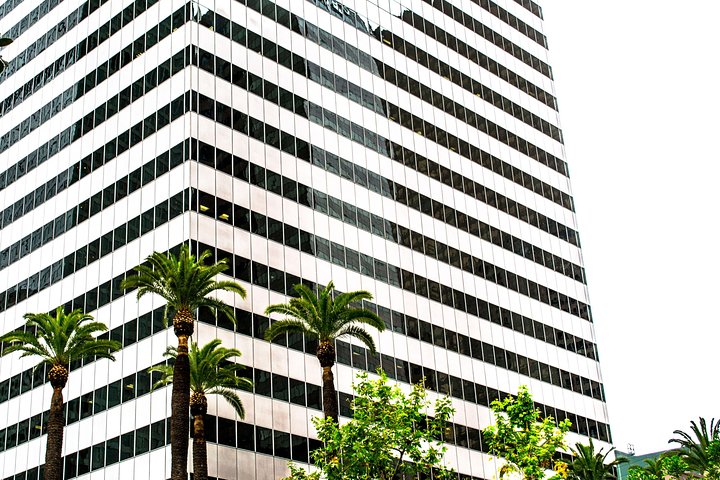 Private Layover Los Angeles Tour with Pickup from LAX - Santa Monica, Venice - Image 4