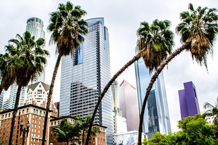 Private Layover Los Angeles Tour with Pickup from LAX - Santa Monica, Venice - Image 1